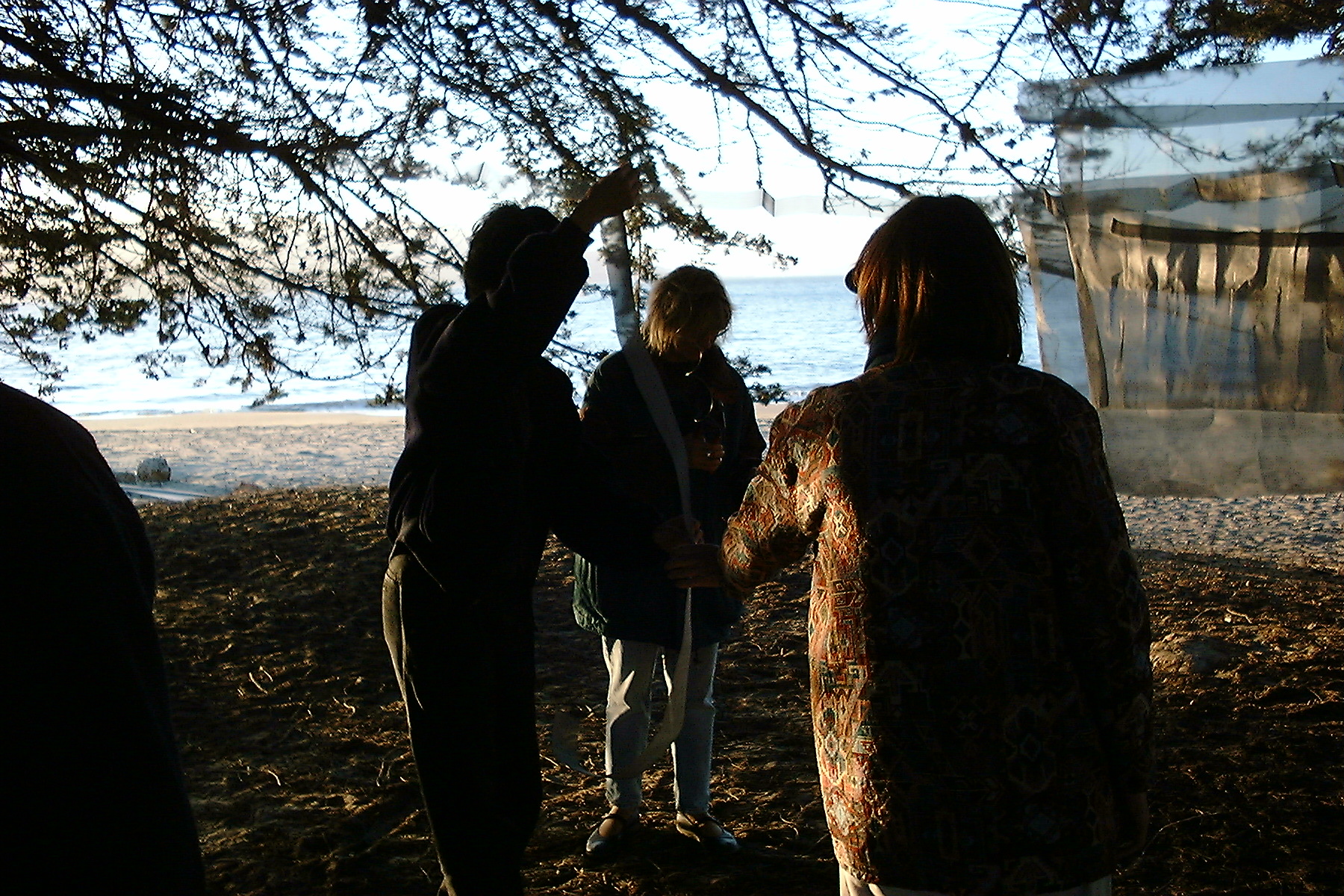 DSCF0893.JPG 975.4K