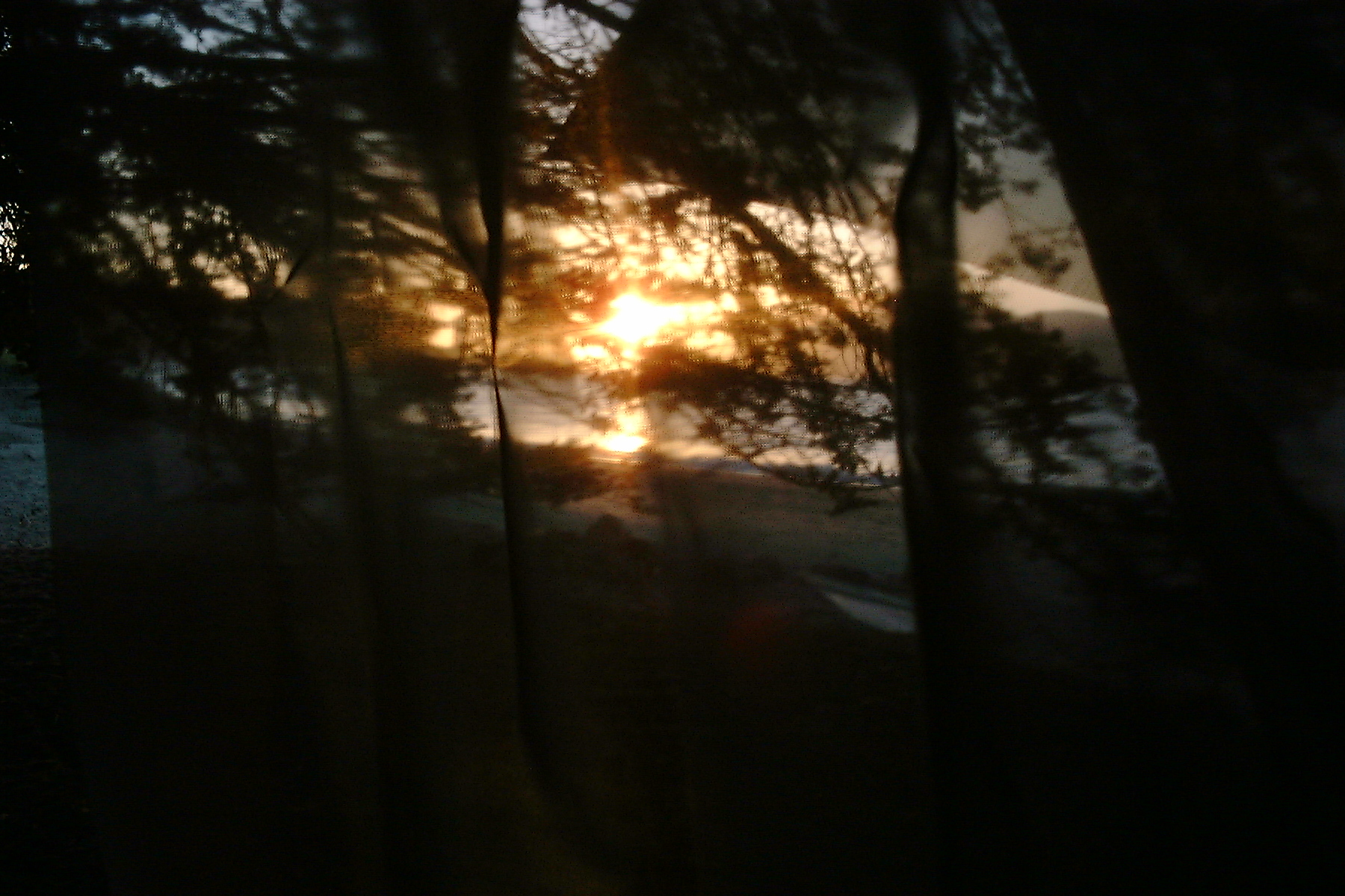 DSCF0905.JPG 889.8K