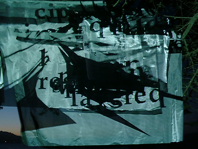 DSCF0915.JPG 145.9K