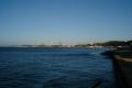 DSCF0891_t.jpg 1.8K