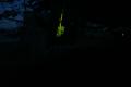 DSCF0917B_t.jpg 1.2K