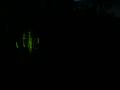 DSCF0932_t.jpg 1.0K